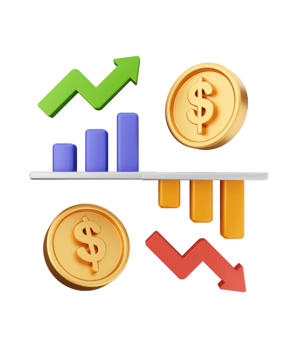 Professional Investment & Financing Advisory